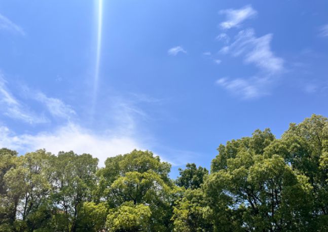 开云网站：鼻炎姐妹都看！早看少受罪！