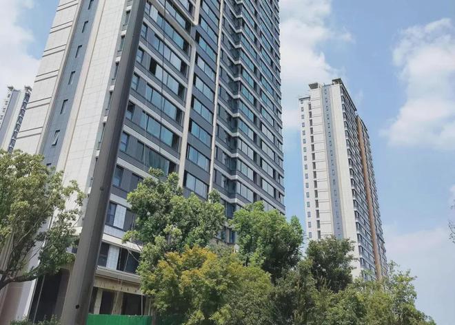 开云网站：不要邻居被称为“高端住宅”的一梯一户到底有多香？过来人说了大实话(图4)