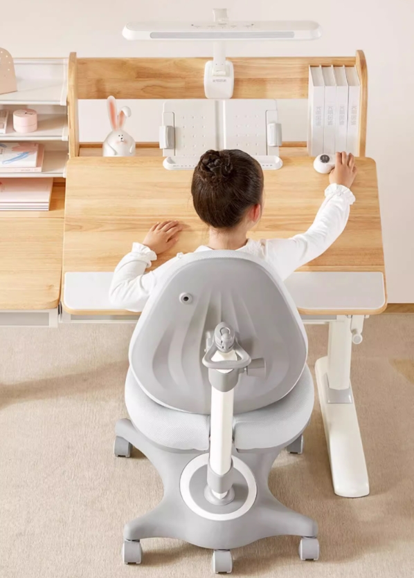 开云网站：光明园迪温馨提醒学习桌椅要这么用才正确(图2)