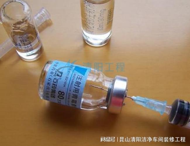 开云网站：青霉素无菌粉针车间设计-清阳工程