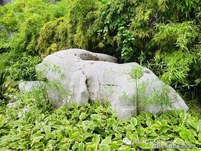 Kaiyun中国：【】一瓶八斗售楼处发布AI看房一瓶八斗24小时发布(图3)