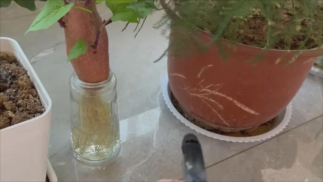 Kaiyun中国：风油精和藿香正气水才是绝配解决了男女的大烦恼实用又省钱！(图3)