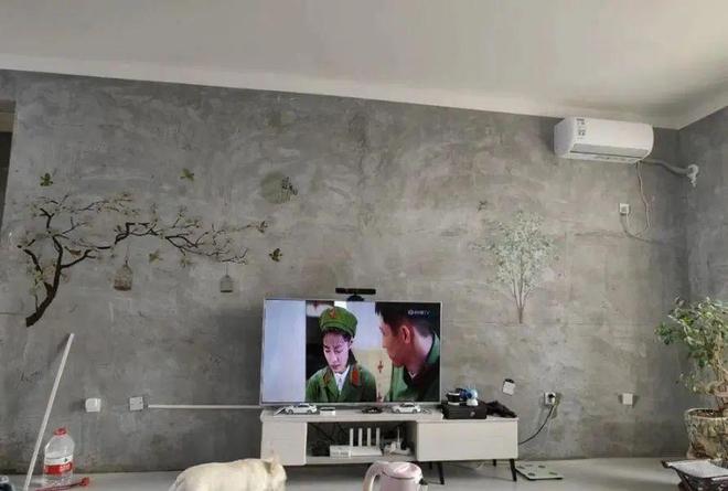 开云网站:一新疆小哥为省钱入住117㎡毛坯房花费了不到2W购置物品!(图8)