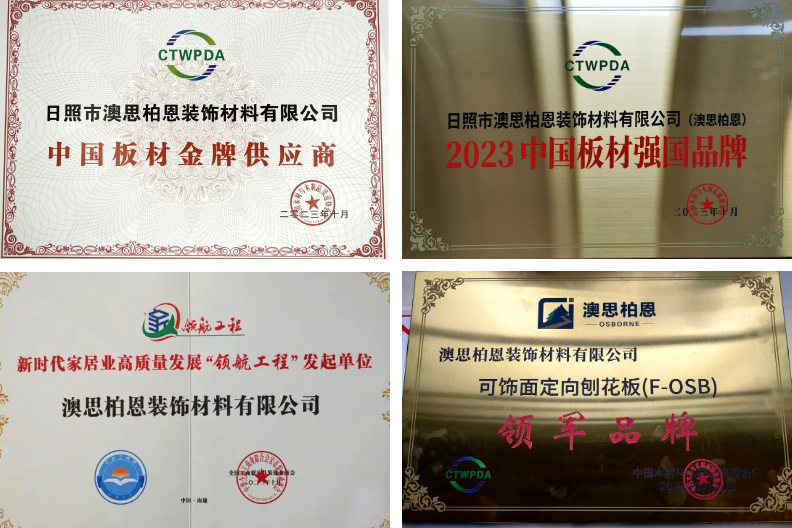 开云网站：荣耀时刻丨澳思柏恩荣获2024年度「刨花板十大品牌」！(图4)