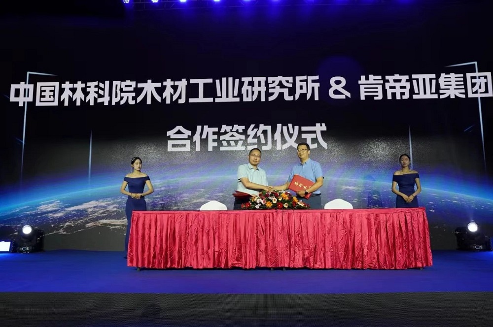 开云网站:开启美好生活肯帝亚2024木门八大新品系列隆重上(图8)