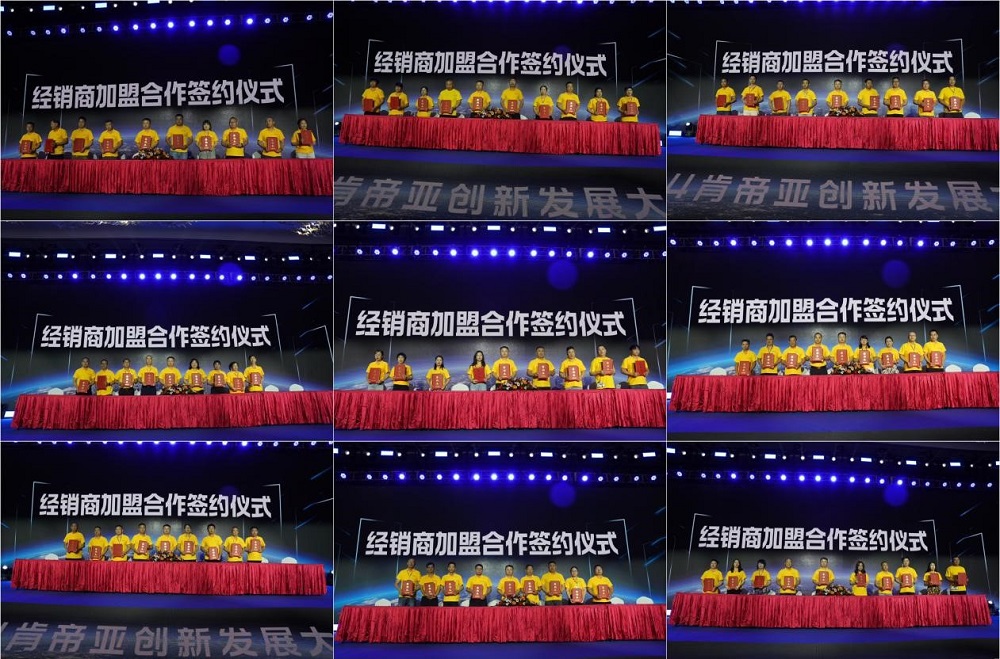 开云网站:开启美好生活肯帝亚2024木门八大新品系列隆重上(图9)