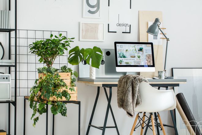 Kaiyun中国：家里装修刷白墙就是出租房吗？