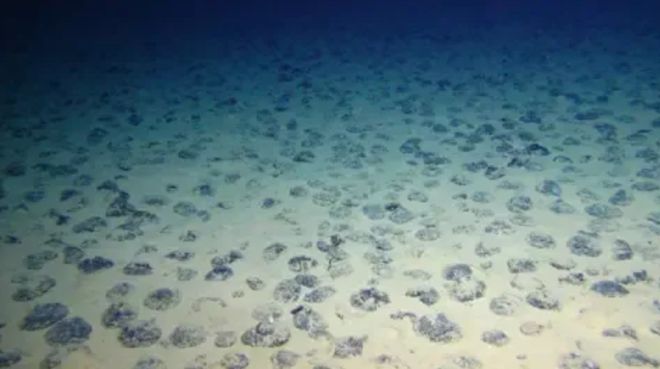 Kaiyun中国:奇妙的深海氧气来源(图2)