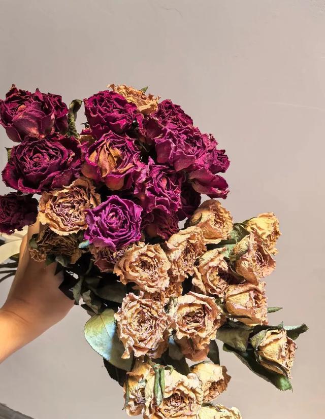 Kaiyun中国：互联网才是真正的大学吧…这些生活小妙招这真的被我学到了！(图9)