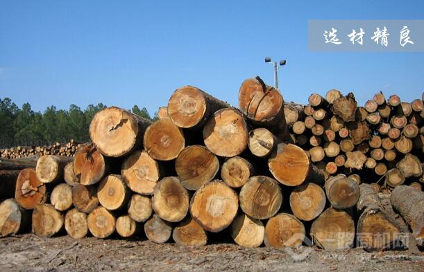 Kaiyun中国：一棵树实木定制加盟费多少(图6)