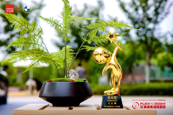 Kaiyun中国：探索未来美好开启生活新境大王椰x宝马跨界合作传递品牌新印象(图12)