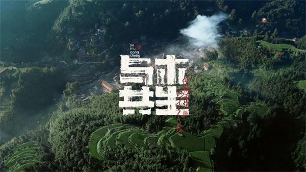 Kaiyun中国：探索未来美好开启生活新境大王椰x宝马跨界合作传递品牌新印象(图11)