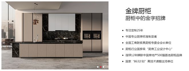 开云网站：品牌推荐金牌整家定制以品质与服务提升美好人居生活(图3)