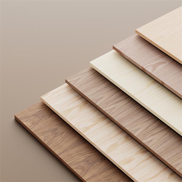 Kaiyun中国：第八届家具品牌大会举行大王椰斩获“年度家居企业”殊荣(图5)