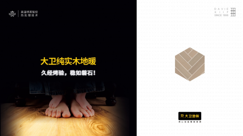 开云网站：大卫地板“万众瞩木”第七季火爆来袭！(图2)