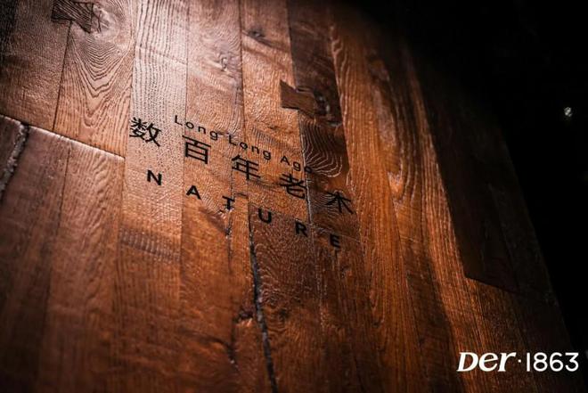 Kaiyun中国：原木巨匠智循未来Der·1863首日亮相2024广州设计周奢华居所(图3)