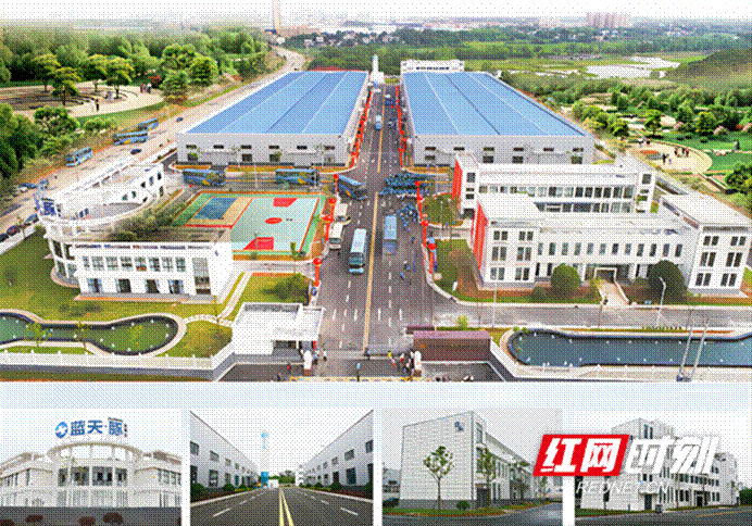 开云网站：解密“金煌现象”：家装转型的逆势增长之道(图3)