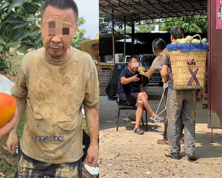 Kaiyun中国：“假悲情”博取“真同情”虚假助农为何屡禁不绝？(图1)