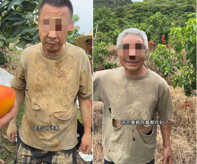 Kaiyun中国：“假悲情”博取“真同情”虚假助农为何屡禁不绝？(图2)