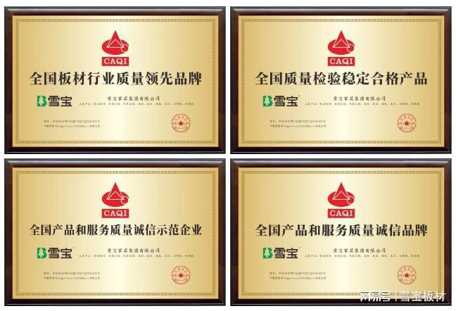 Kaiyun中国：载誉前行丨雪宝2024年度品牌荣誉+新品集锦厚植高质量发展(图9)