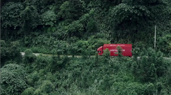 开云网站:大王椰文化IP寻木之旅荣获第25届IAI传鉴国际广告·整合营销铜奖(图7)