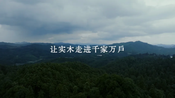 开云网站:大王椰文化IP寻木之旅荣获第25届IAI传鉴国际广告·整合营销铜奖(图6)