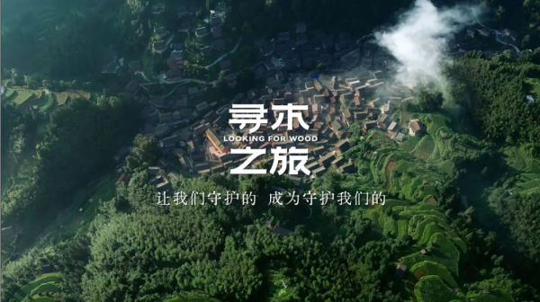 开云网站:大王椰文化IP寻木之旅荣获第25届IAI传鉴国际广告·整合营销铜奖(图11)