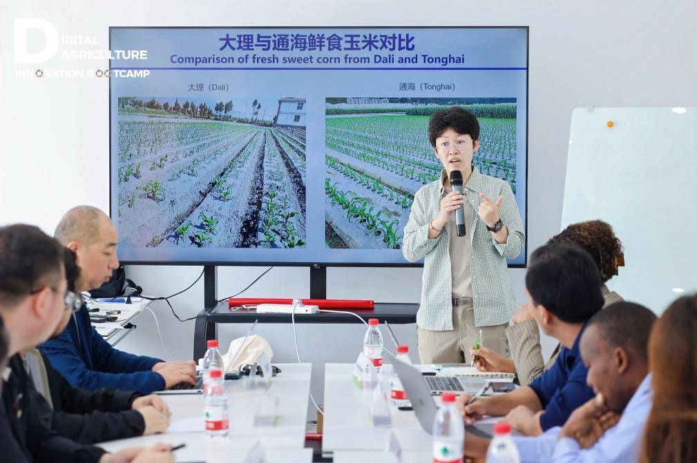 Kaiyun中国：海内外农创客洱海对话拼多多携手FAO、浙大开启2025数字农业创新训练营(图3)