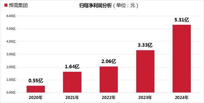 开云网站：悍高集团IPO：董事长欧锦锋薪酬翻番涨至408万元员工社保、公积金未做到全员缴纳(图3)