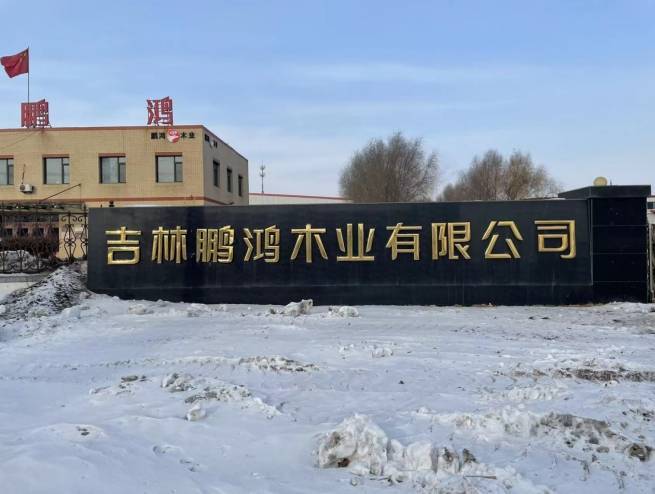 开云网站：2025打柜子板材什么品牌好？鹏鸿木业凭实力出圈！(图1)