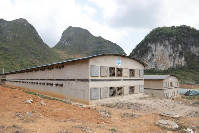 开云网站：安顺市高质量推进东西部协作助力乡村振兴(图5)