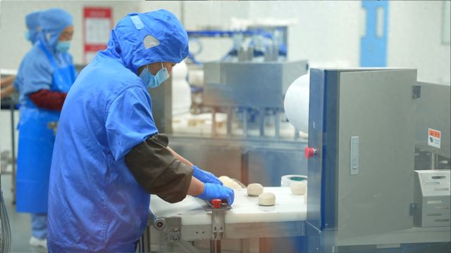 开云网站：项目攻坚提速绿色发展增效——商洛市商州区经济社会发展扫描(图1)