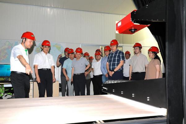 Kaiyun中国：推动家居新材料技术革新三棵树“实木水漆板”获评“国际领先”(图4)