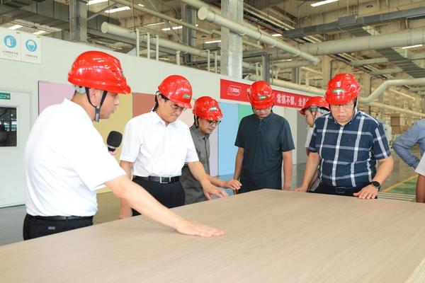 Kaiyun中国：推动家居新材料技术革新三棵树“实木水漆板”获评“国际领先”(图3)
