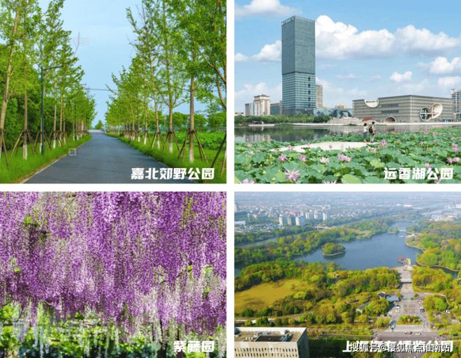 Kaiyun中国：®深嘉上府售楼处嘉定深嘉上府发布：刚需改善全覆盖(图12)