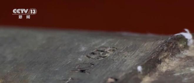 开云网站：看小说学盗墓挖走20余件国宝特大盗墓案细节曝光(图20)