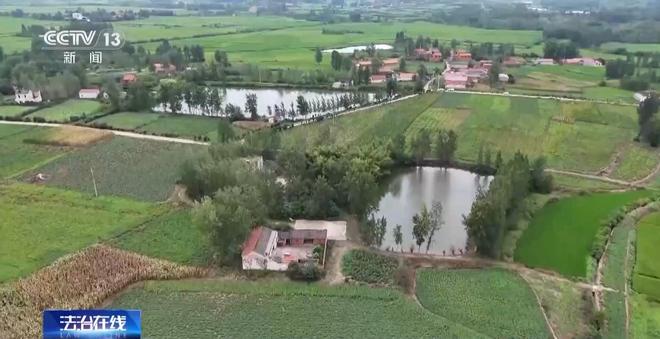 开云网站：看小说学盗墓挖走20余件国宝特大盗墓案细节曝光(图16)