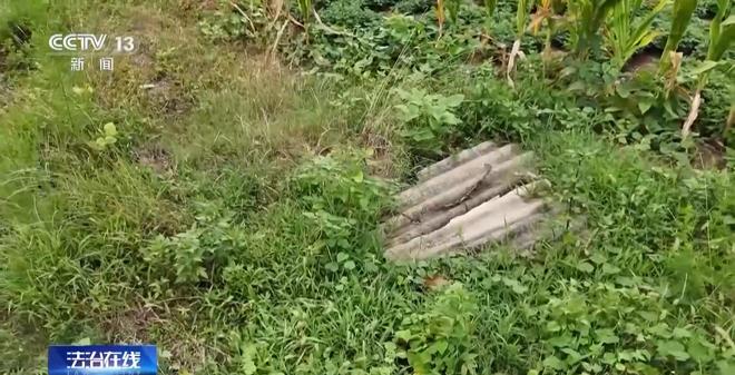 开云网站：看小说学盗墓挖走20余件国宝特大盗墓案细节曝光(图18)