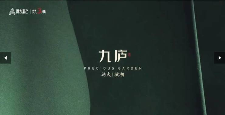 Kaiyun中国：滨湖区远大九庐【想了解合肥新楼盘买房加入合肥买房群】(图5)