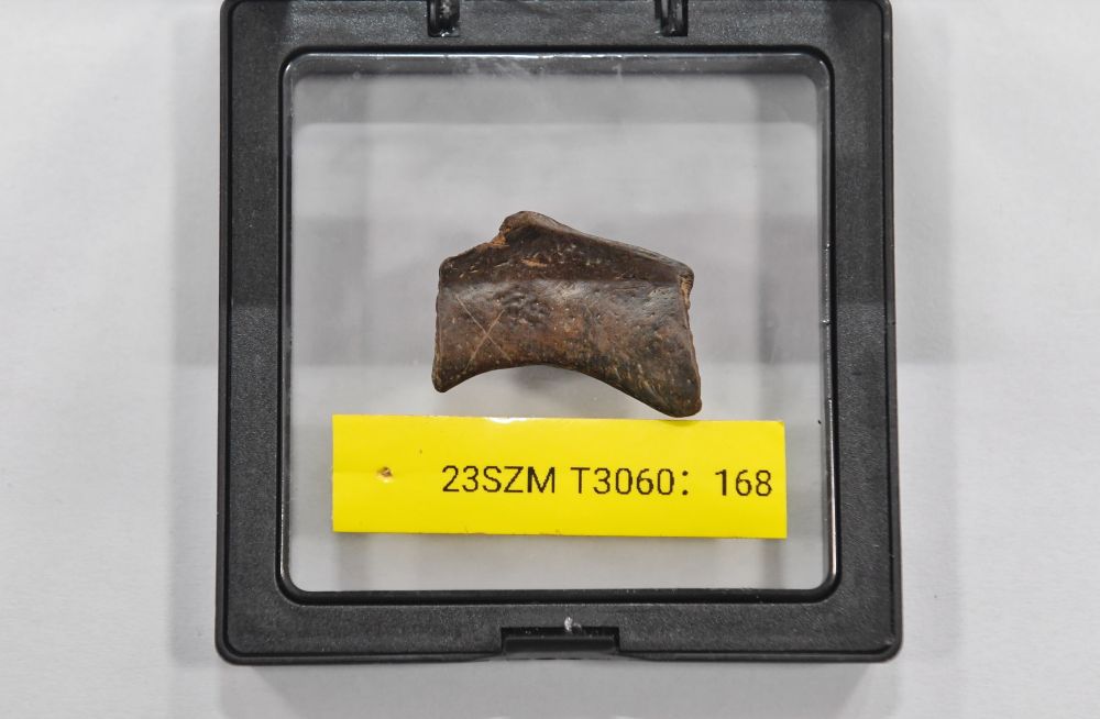 Kaiyun中国：镜观·回响｜巴风蜀韵承古脉(图4)