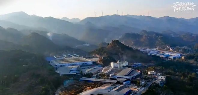 Kaiyun中国：15天完成首单出口！黔西南板材叩开东南亚市场大门(图2)