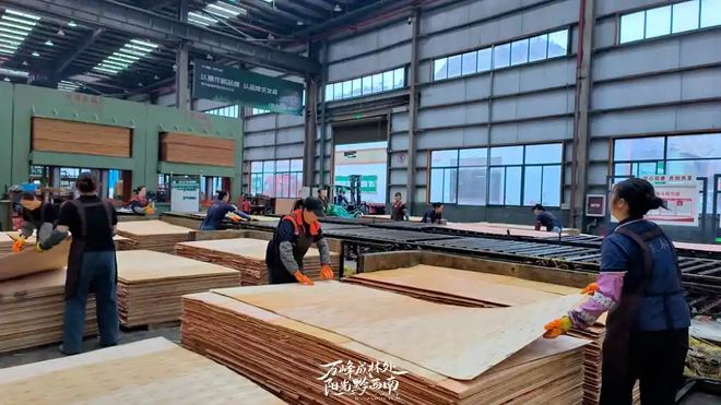 Kaiyun中国：15天完成首单出口！黔西南板材叩开东南亚市场大门(图3)