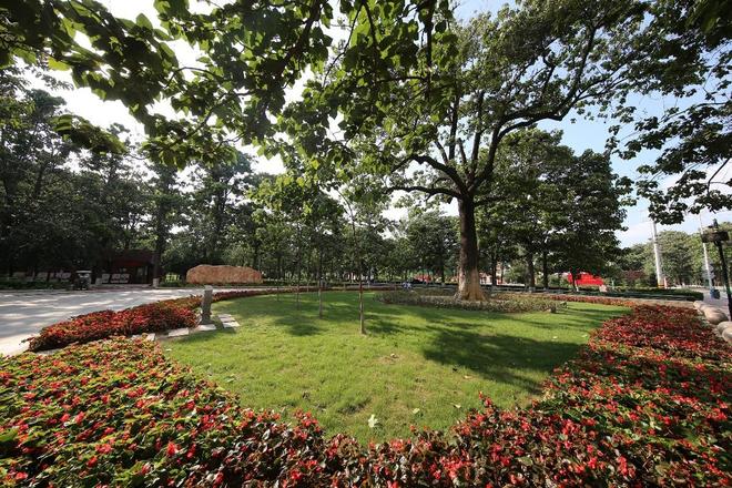 Kaiyun中国：河南兰考：户牖承古韵焦桐奏新章