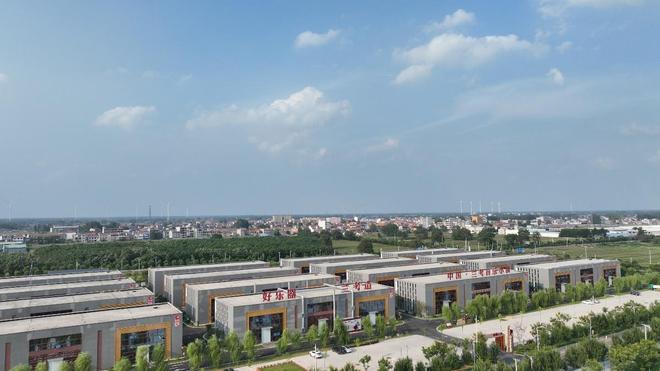 Kaiyun中国：河南兰考：户牖承古韵焦桐奏新章(图6)