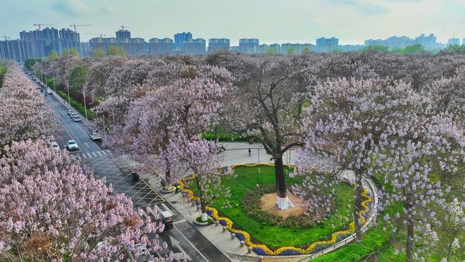 Kaiyun中国：河南兰考：户牖承古韵焦桐奏新章(图4)