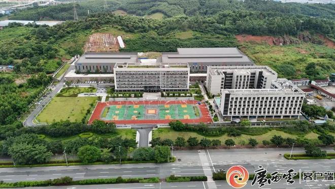 Kaiyun中国：寻常竹木融入高端“智造”(图3)