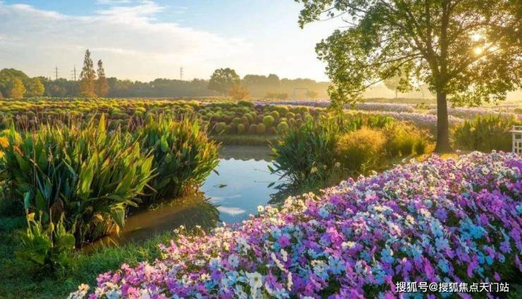 开云网站:国印东方-小区环境-户型-价格-地址-楼盘详情-周边配套-国印东方售楼处电话-交房时间(图23)