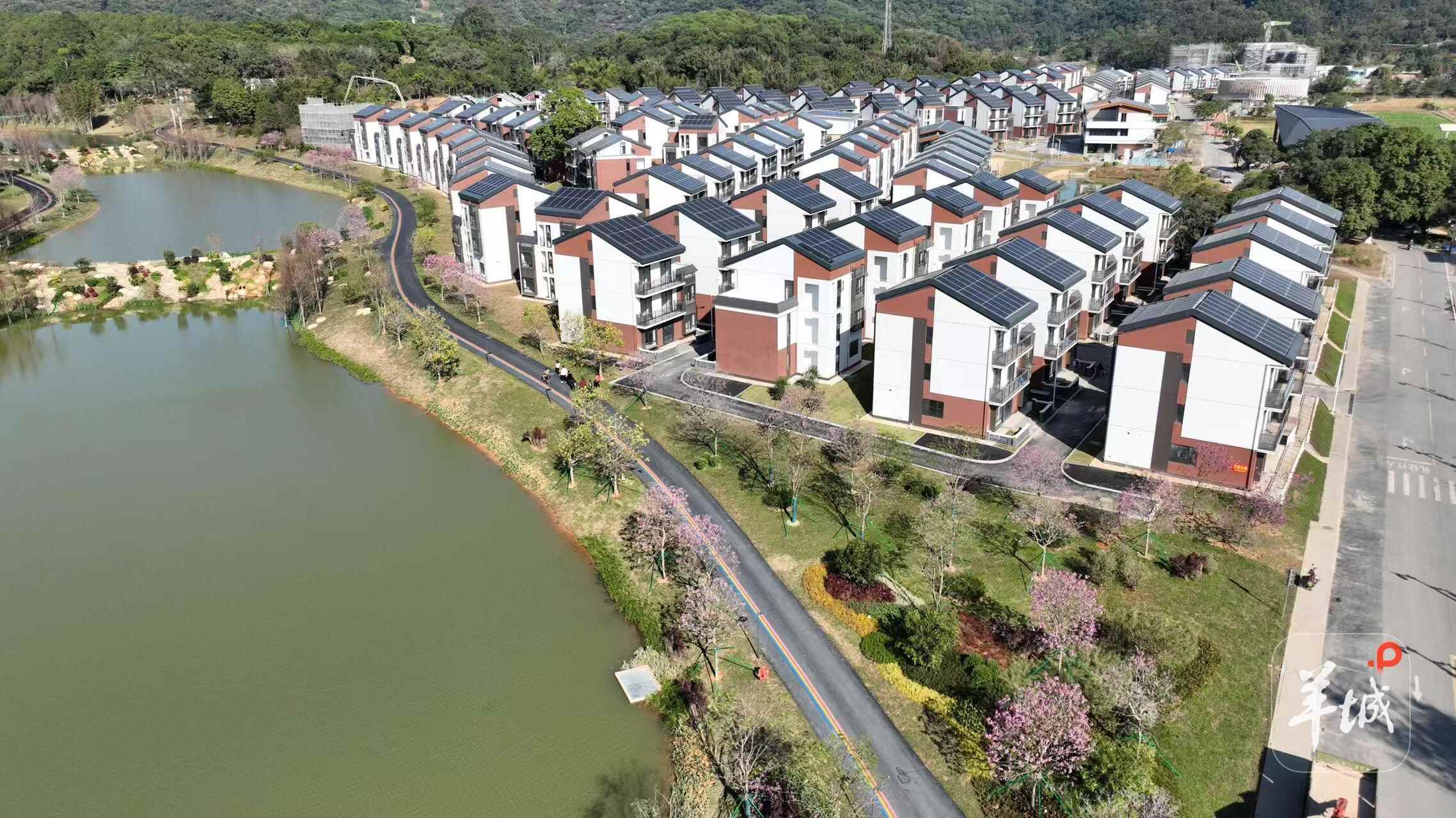 Kaiyun中国：村民乐享“别墅式”生活！广州黄埔“百千万工程”绘就乡村新图景