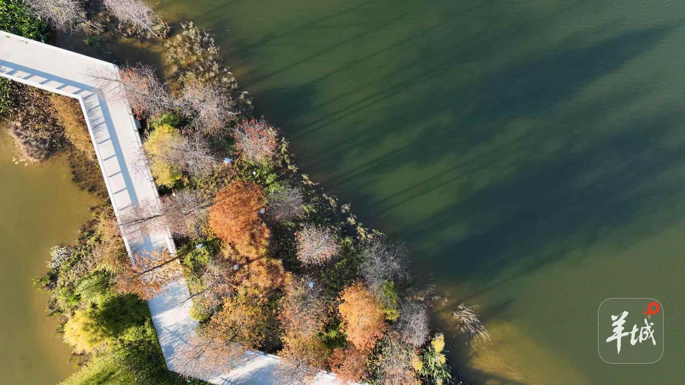 Kaiyun中国:村民乐享“别墅式”生活!广州黄埔“百千万工程”绘就乡村新图景(图8)