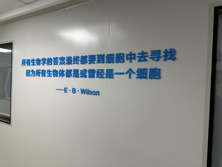 Kaiyun中国：蹲点调查｜竞速“细胞新基建”